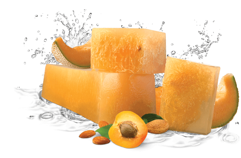 Melon and apricot