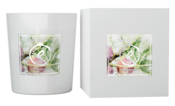 Candles REFAN BOUGIE PARFUMEE BLOOMS SCENTED CANDLE FIG BLOOM